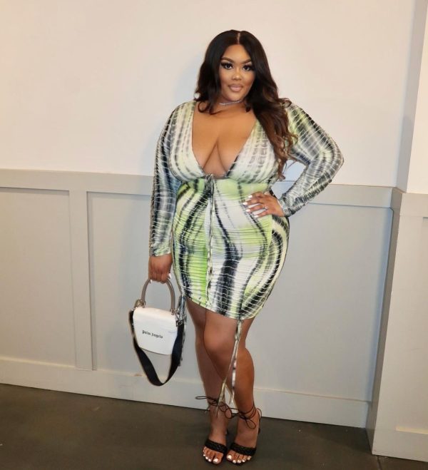 Plus Size Popular  Printed V Neck Sexy Crumpled Hip Dress