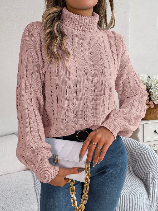 Twist Long Sleeve Turtleneck Sweater