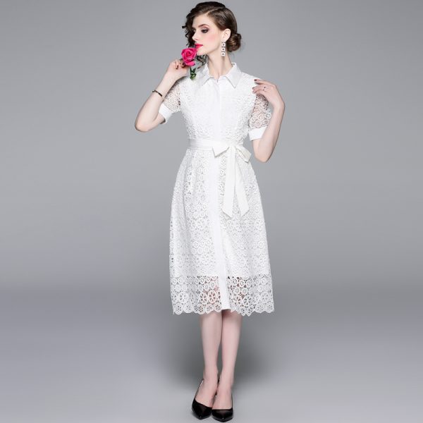 Elegant Lace Cut-Out A-Line Dress | New Style