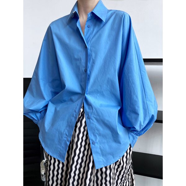 Lantern Sleeve Spring Shirt