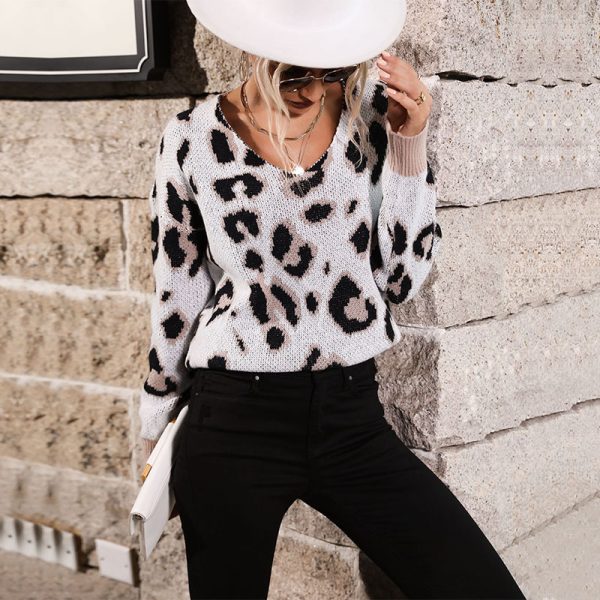 Leopard Chic: V-neck Long Sleeve Sweater