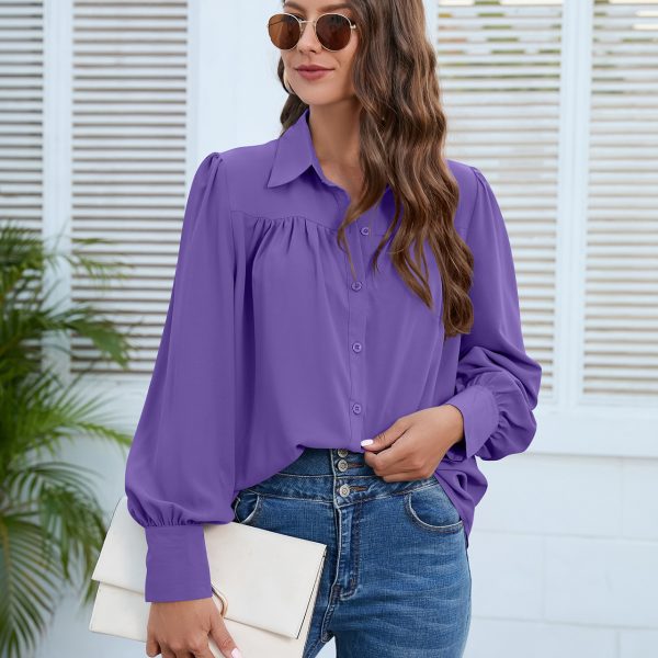 Spring/Autumn Chiffon Pleated Shirt: Women's Top